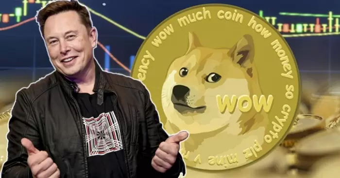 Dogecoin снова поднялся в цене из-за твита Илона Маска