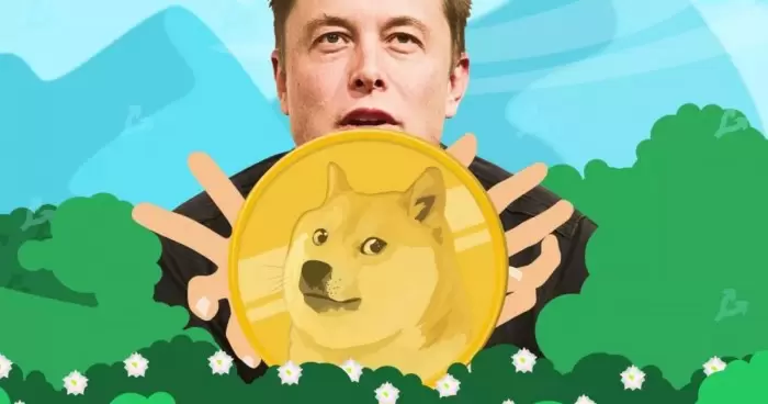 Илон Маск попросил суд отклонить групповой иск об инсайдерской торговле Dogecoin