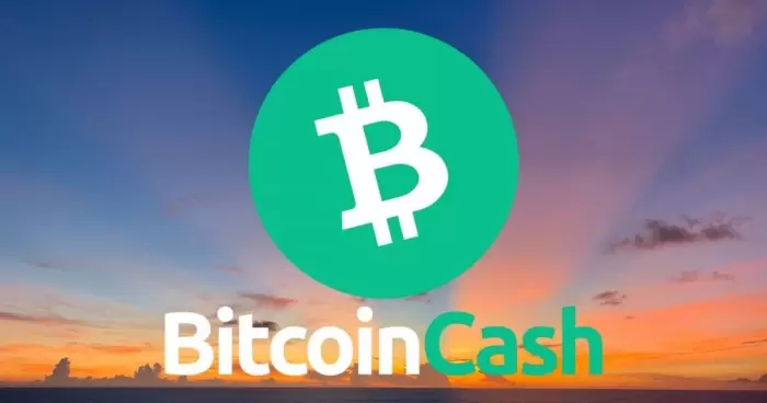 Binance Pool запустила сервис для майнинга Bitcoin Cash BCH