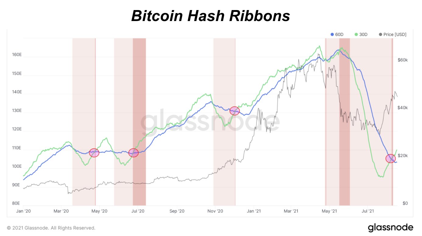 Индикатор майнинга биткоина Hash Ribbons указал на начало ралли — Glassnode
