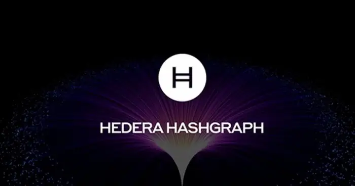 Проект Hedera Hashgraph выделит 385 млрд на развитие экосистемы