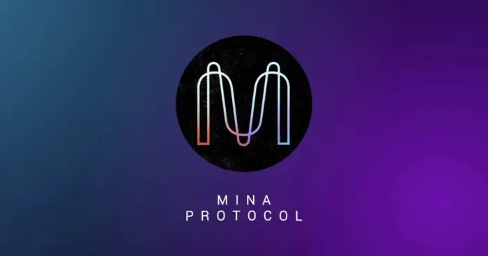 Mina Protocol летит в космос